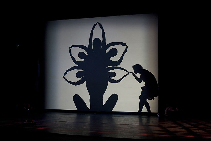 Schattenbild Blume: Shadowland - Magisches Schattentheater und Multimedia Show des Pilobolus Dance Theatre vom 19.-31.12.2023 im Deutschen Theater (©Foto: John Kane) 
